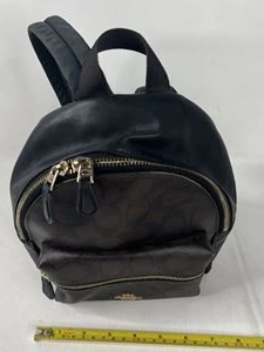 Coach euc mini
